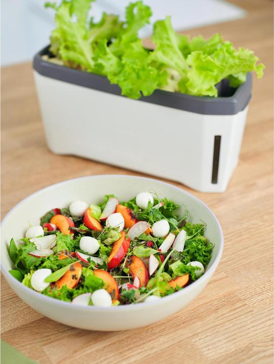 Actual product image Gusta Garden Kräutertopf HARRY HERBS mit Haube, Weiss (36.50 x 15 x 25 cm)