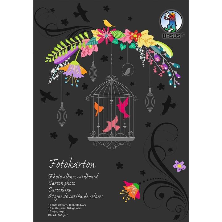 Produktbild Ursus Fotokarton-Block (300 g/m², 10x)