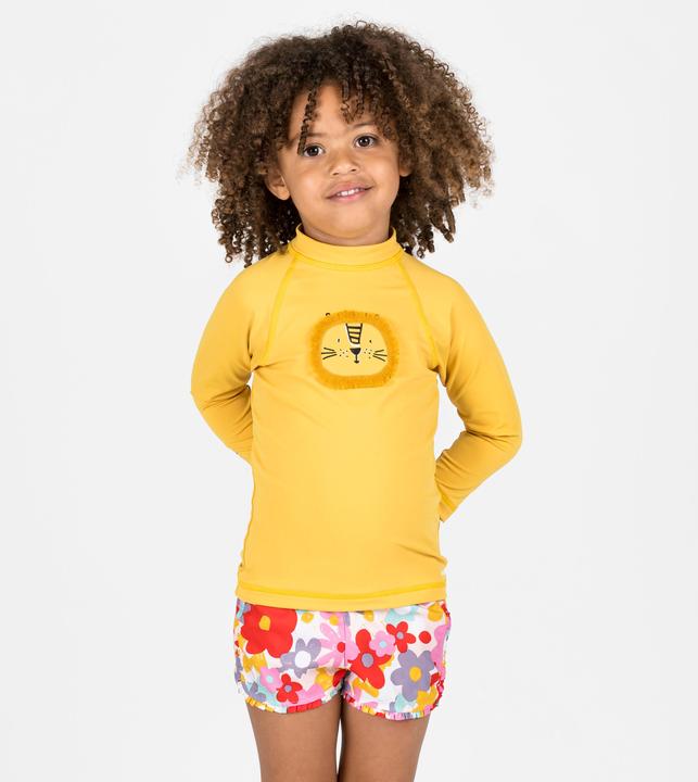 Actual product image Nabaiji Lion (2)