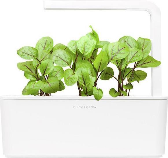 Immagine prodotto Click and Grow Semi di acetosella (Semi di piante)