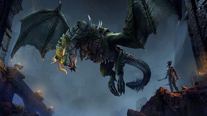Actual product image Bethesda The Elder Scrolls Online: Elsweyr (PS4, Multilingual)
