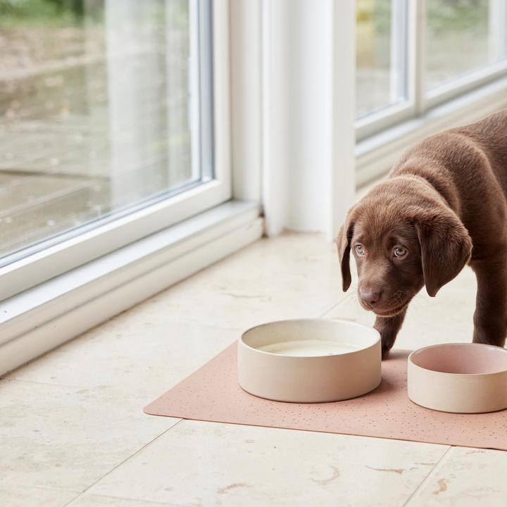 Immagine prodotto OYOY Zoo Sia (4.05 l)