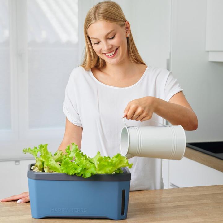 Actual product image Gusta Garden Kräutertopf HARRY HERBS mit Haube, Weiss (36.50 x 15 x 25 cm)