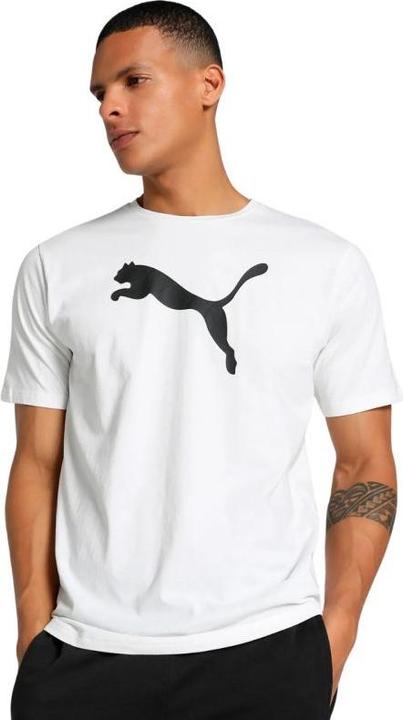Produktbild Puma teamRISE Logo Jersey Cotton (XXL)