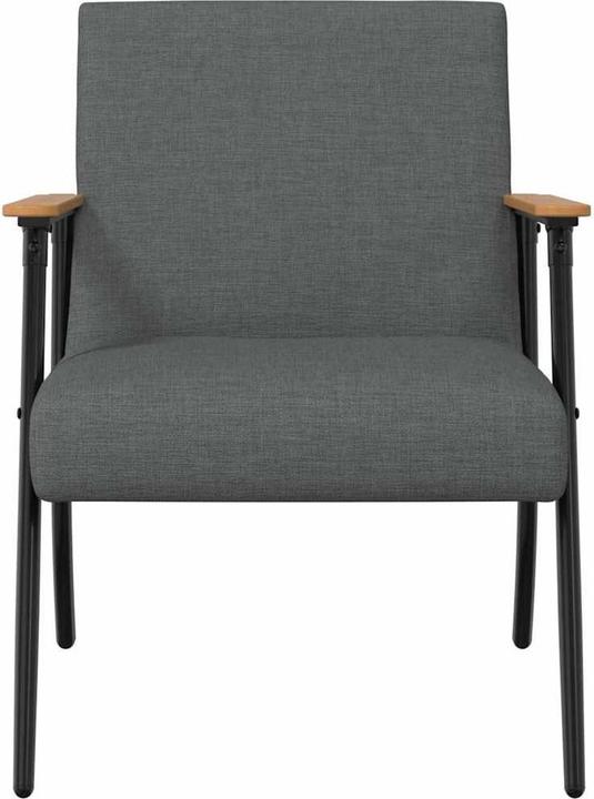 Image du produit vidaXL Moderner Sessel