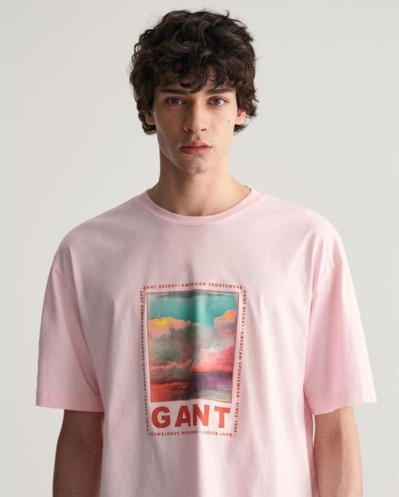 Actual product image GANT t-shirt washed graphic (M)