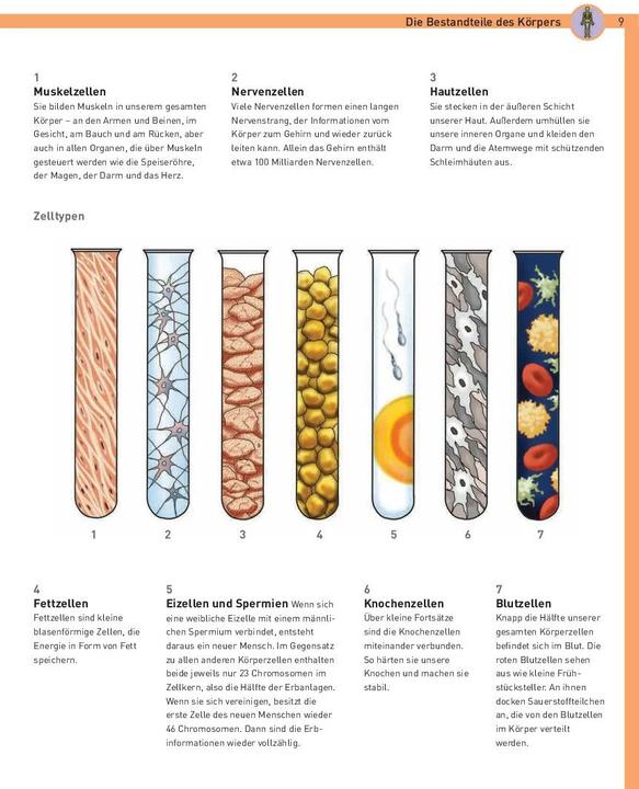 Produktbild Unser Körper (Deutsch, 2023)