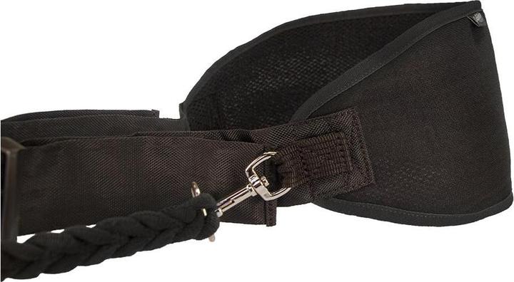 Actual product image Grossenbacher Jogging belt Profirun (M, Dog, Jogging)