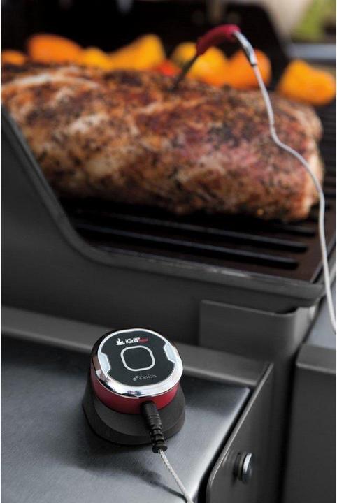 Actual product image Weber iGrill Pro sensor