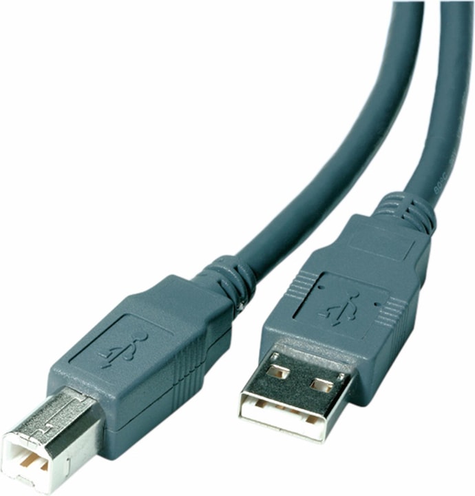 Image du produit Vivanco Câble USB 2.0 compatible, A - B, 3m, gris (3 m, USB 2.0)