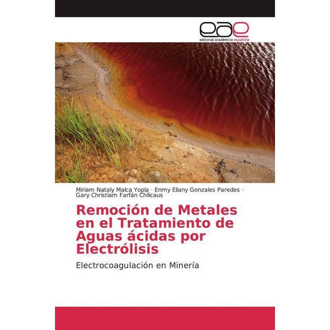 Remoción de Metales en el Tratamiento de Aguas ácidas por Electrólisis, Fachbücher von Gary Christiam Farfán Chilicaus, ...