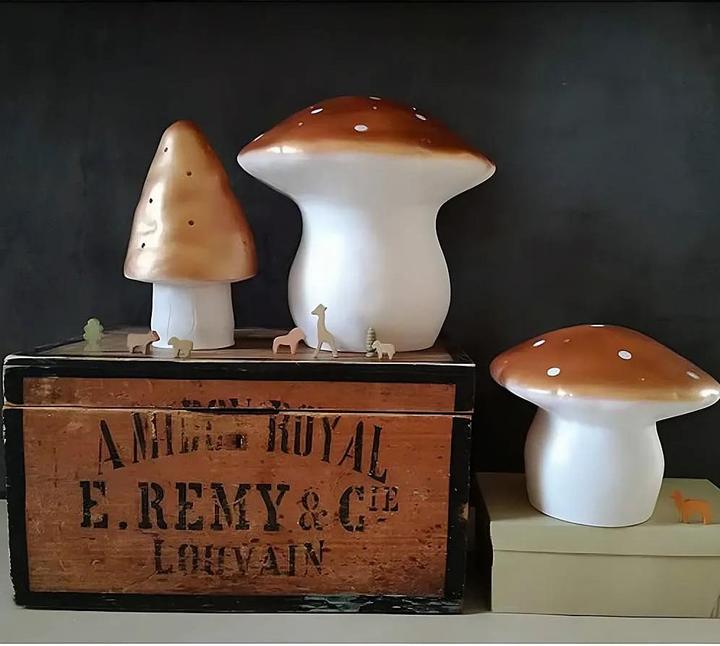 Actual product image Egmont Mushroom medium