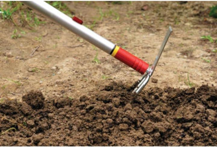 Actual product image Wolf-Garten Double Hoe