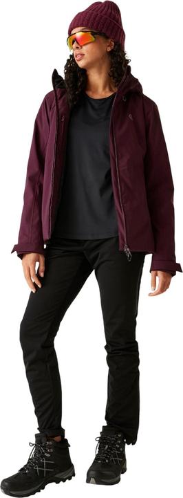 Actual product image Dare2b Womens/Ladies Torrek Blazen Insulated Waterproof Ski Jacket (42)