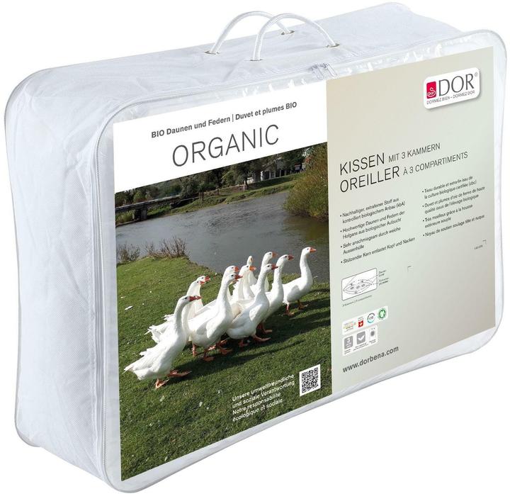 Actual product image DOR Classic pillow with 3 chambers Organic 65 x 65 cm (65 x 65 cm)