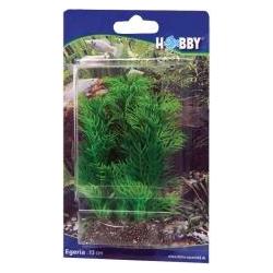 Thumbnail - Dohse Egeria, 13 cm (Dekoration, sonstige Gegenstände), Aquarium Dekoration