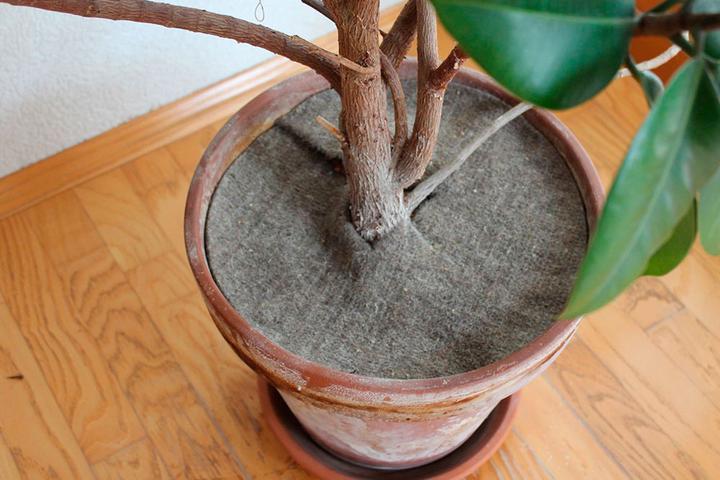 Produktbild GardenWool Mulchscheibe für Topfpflanzen