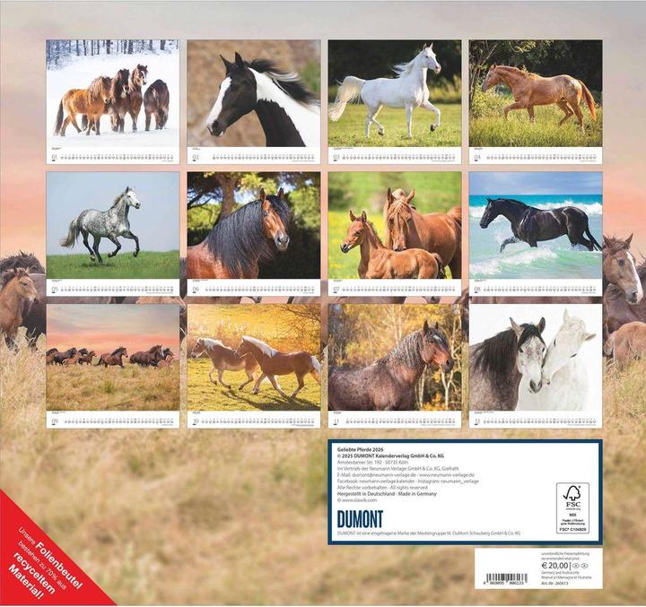 Immagine prodotto Geliebte Pferde 2026 – DUMONT-Wandkalender – Pferdefotografie von Christiane Slawik Format – 38,0 x