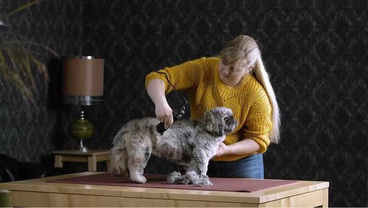 Produktbild Moser max45 (Hund)