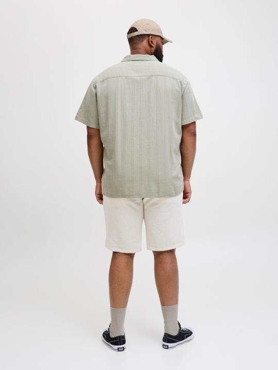 Immagine prodotto Jack & Jones Plus Pantaloncini Chino affusolati Pantaloncini Chino (48)