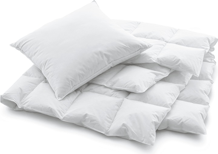 Actual product image Swiss Dream by billerbeck CLC 90 Pillow (65 x 65 cm)