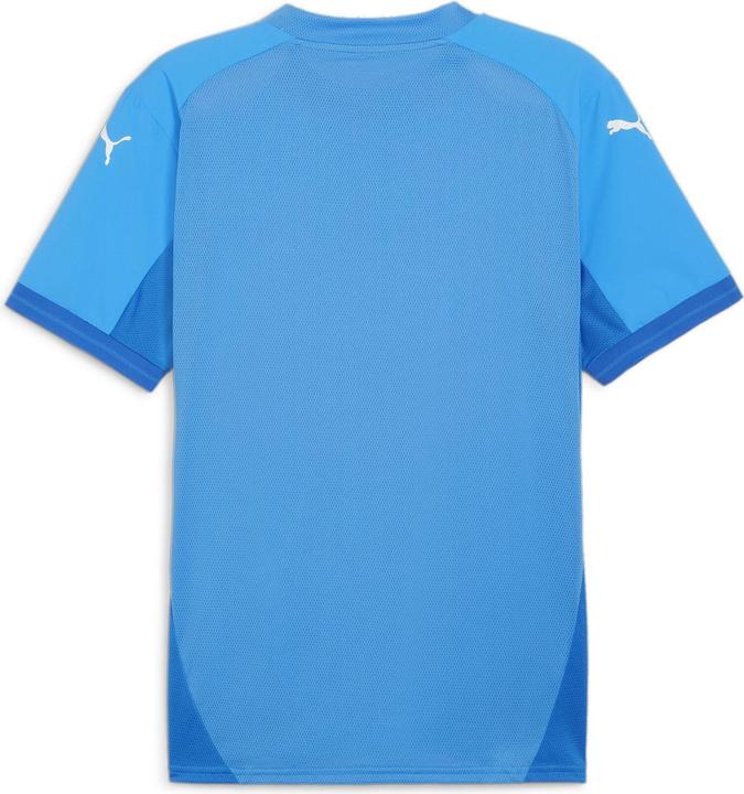 Produktbild Puma teamFINAL Jersey (3XL)