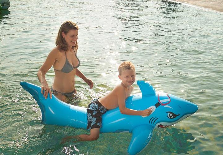 Image du produit Happy People Requin