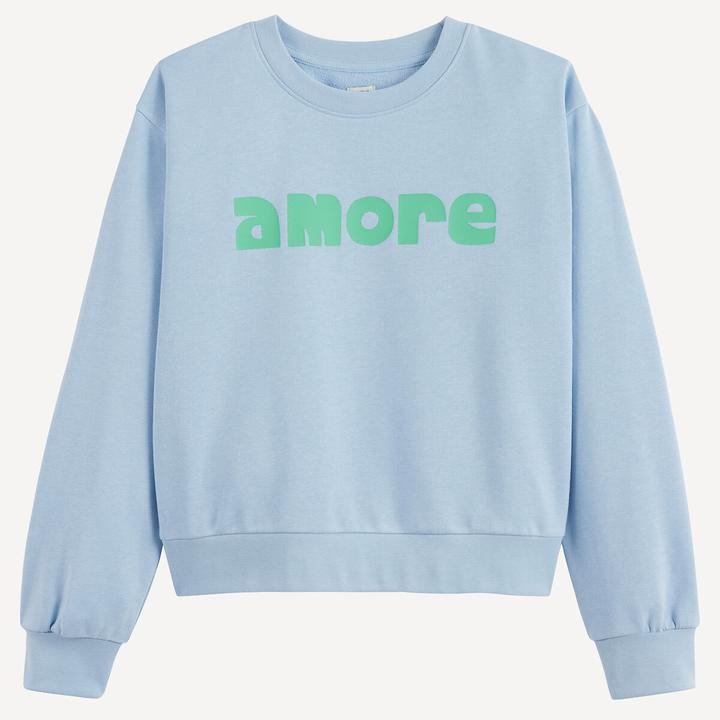 Produktbild La Redoute Collections Sweatshirt mit Rundhalsausschnitt aus Molton (134)