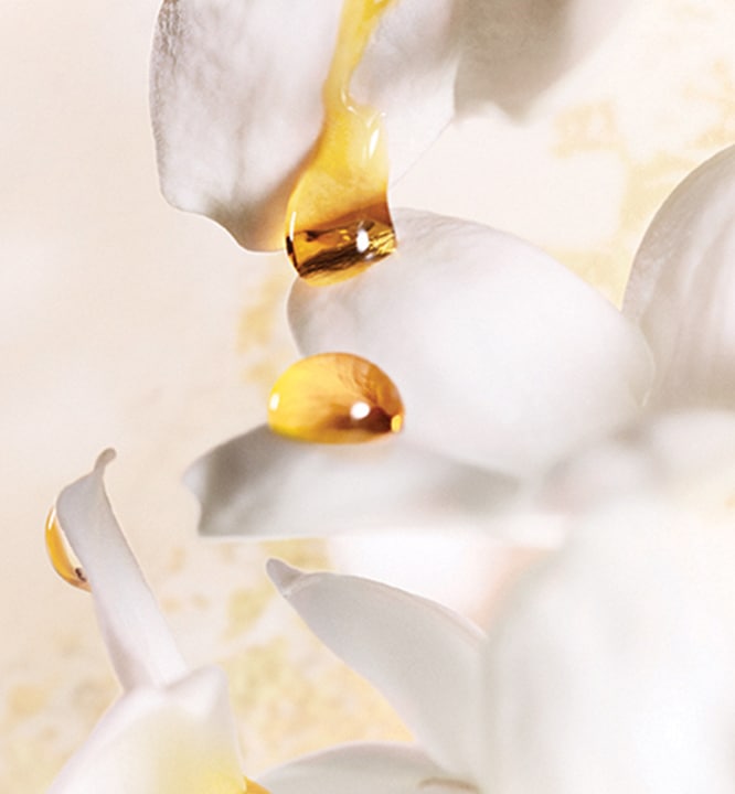 Immagine prodotto Dior J'Adore (Eau de parfum, 30 ml)