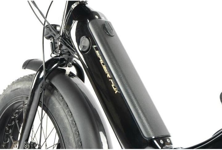 Actual product image Leader Fox Fat Bike 20 Cody 2024 (20")