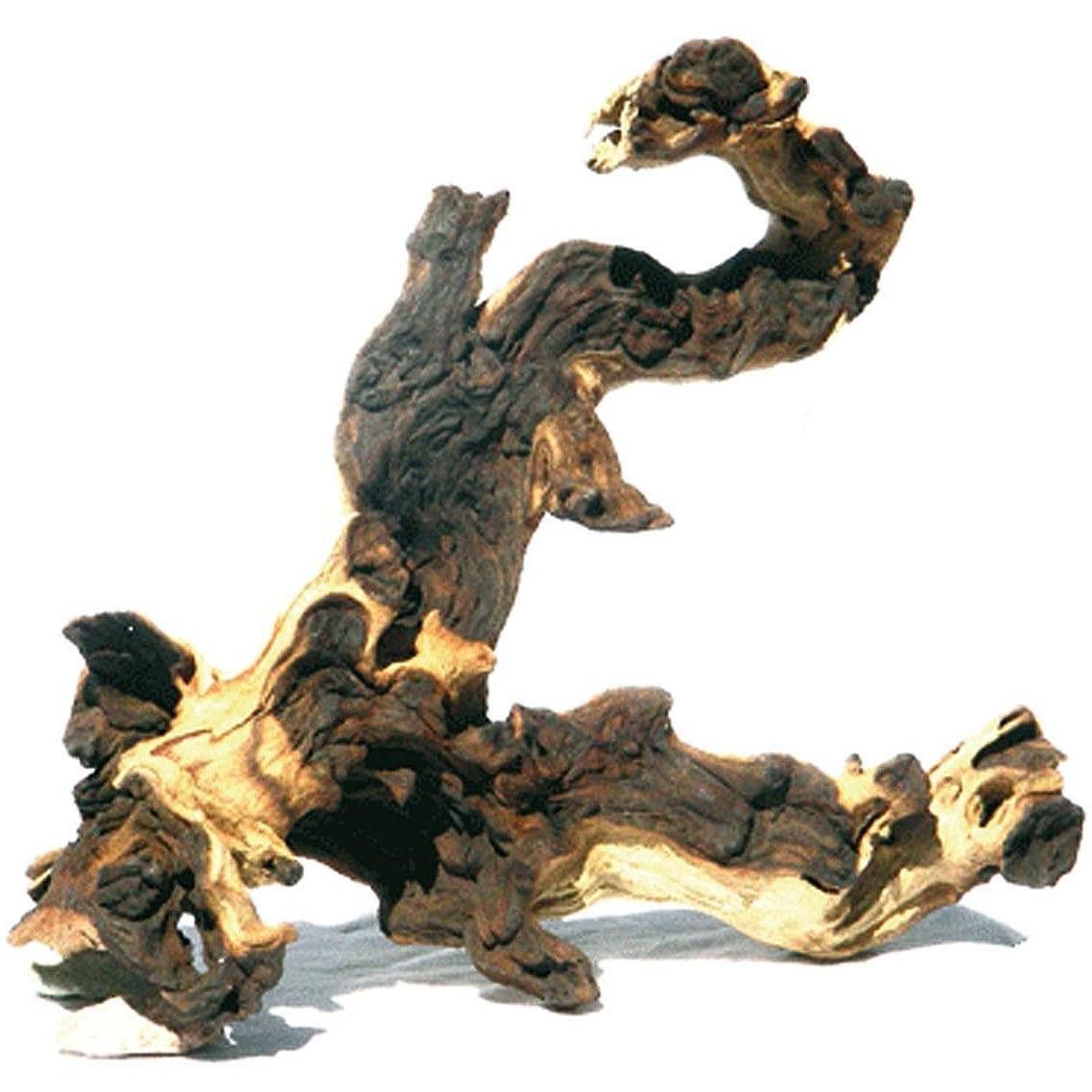 Amazonas Mopani (Dekoration, Wurzeln), Aquarium Dekoration