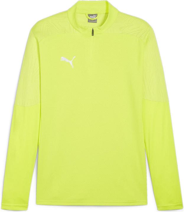 Electriclimepumasilver