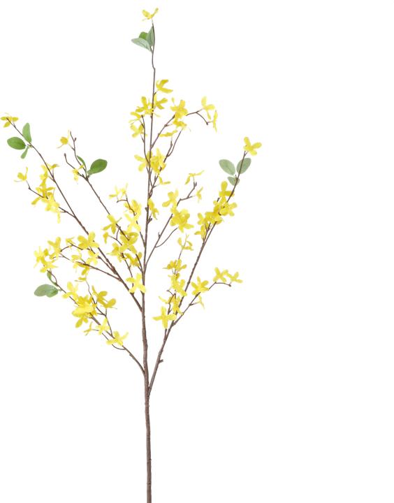 Image du produit Boltze Home Branche décorative