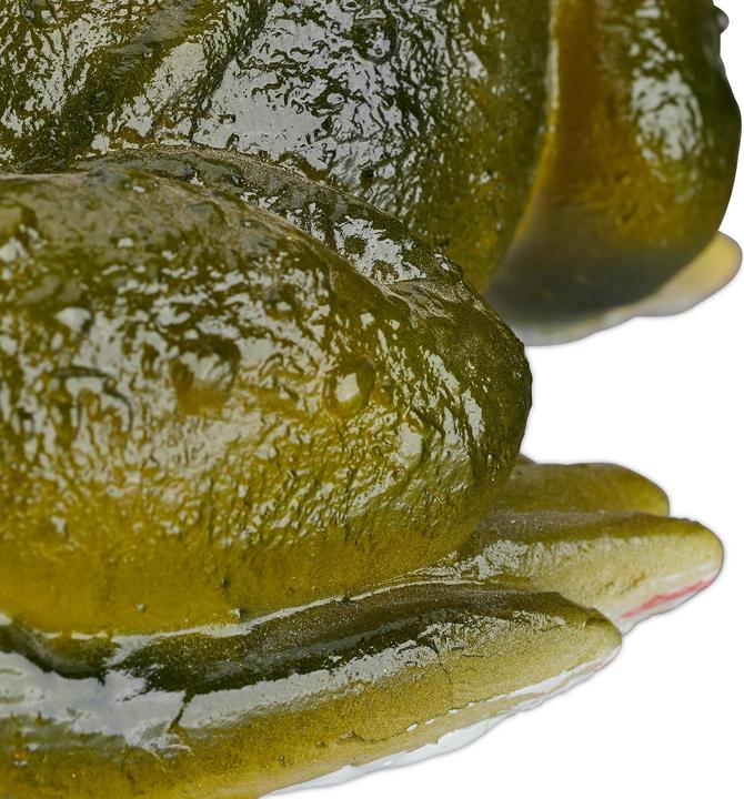 Image du produit Relaxdays Frosch