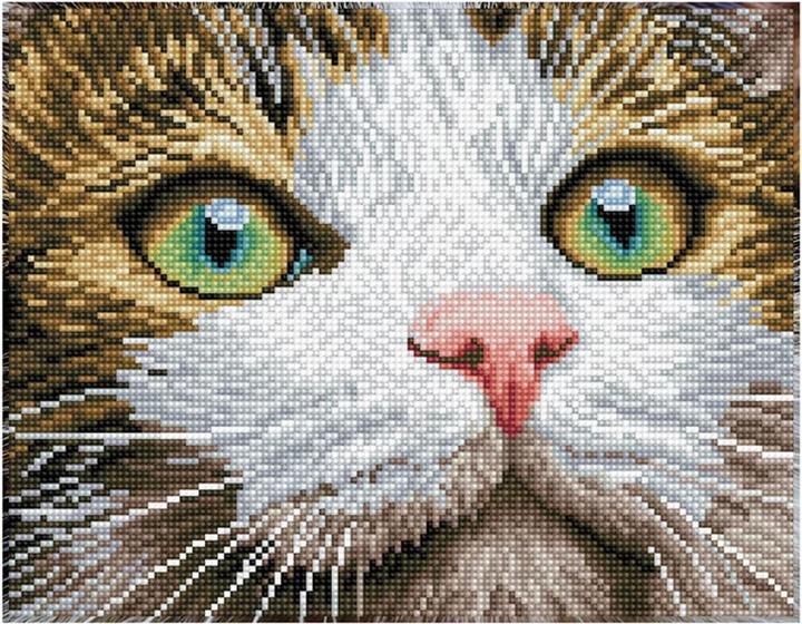 Diamond Dotz Diamond Painting Katze mit grünen Augen