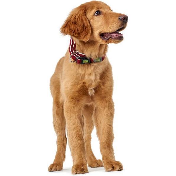 Thumbnail - Hunter Hundehalsband Hilo Vario Plus (XL, Hund, Allgemein), Halsband + Leine