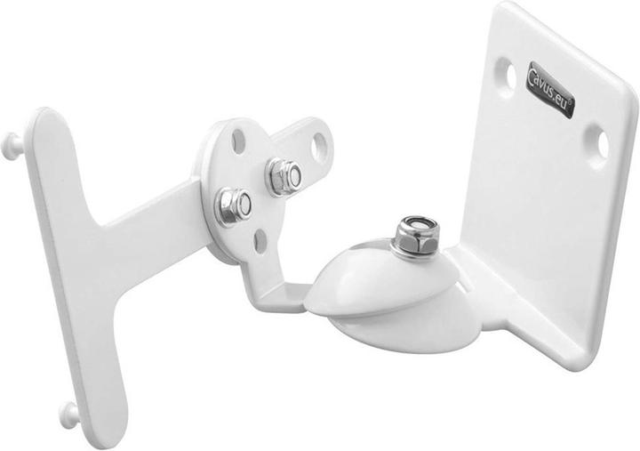 Actual product image Cavus Sonos PLAY:3 wall mount
