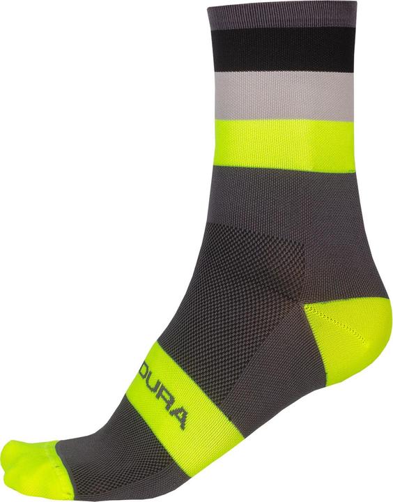Endura Bandwidth Streifensocken (37 - 42)