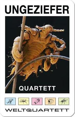 Actual product image Weltquartett 1012 - UNGEFER QUARTET - vermin on 32 playing cards (DE edition) (German, 2 - 4 Players)