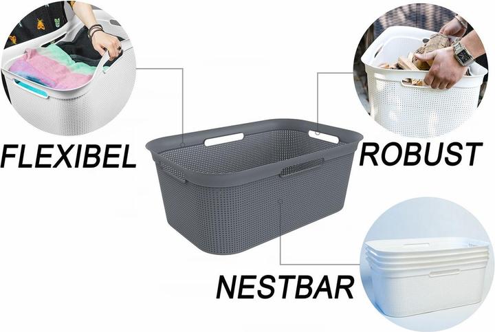 Produktbild Rotho Brisen (41 l)