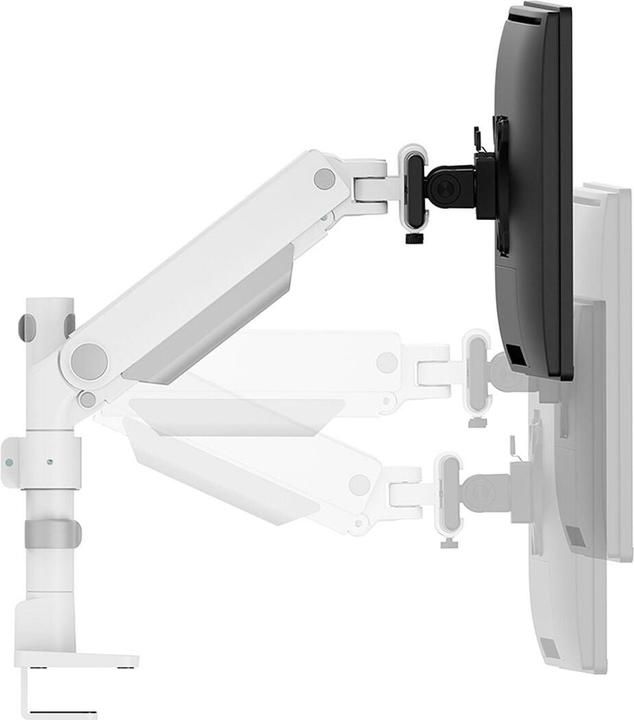Actual product image Neomounts table mount duo 100x100 11kg/24-34"/white/fully movable (Table, 34", 11 kg)