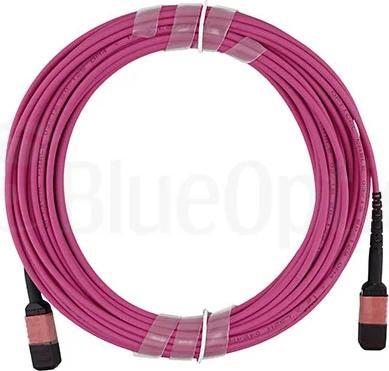 Immagine prodotto BlueOptics Dell 470-ABOO kompatibles MPO-MPO Multimode OM4 Patchkabel 25 Meter (U/UTP, CAT8.2, 25 m)