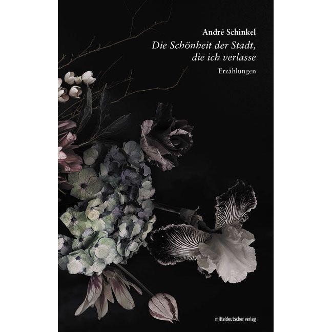 Die Schönheit der Stadt, die ich verlasse, Belletristik von André Schinkel
