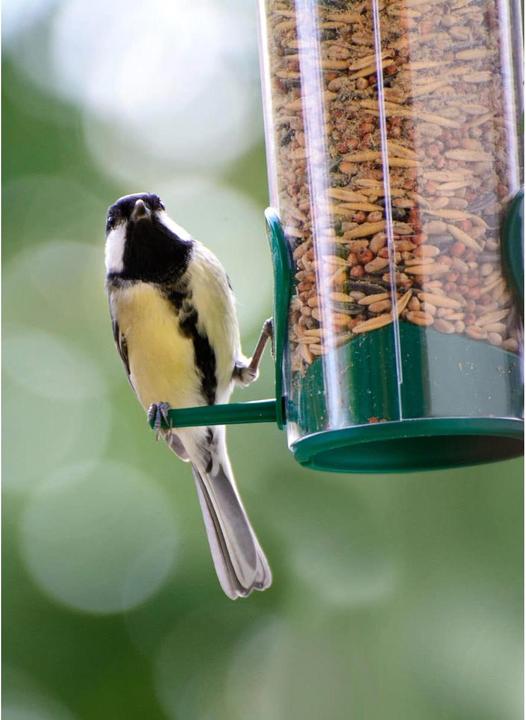 Image du produit Dobar Futtersäule dobar aus Kunststoff 7x23 cm grün