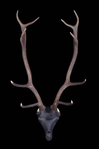 Produktbild Hirsch-Skulptur