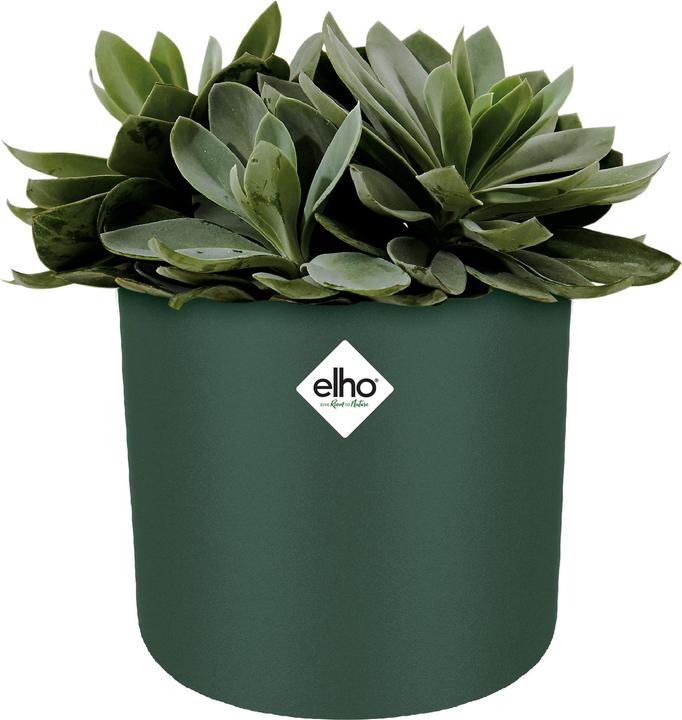 Actual product image Elho b.for soft (13.80 cm)