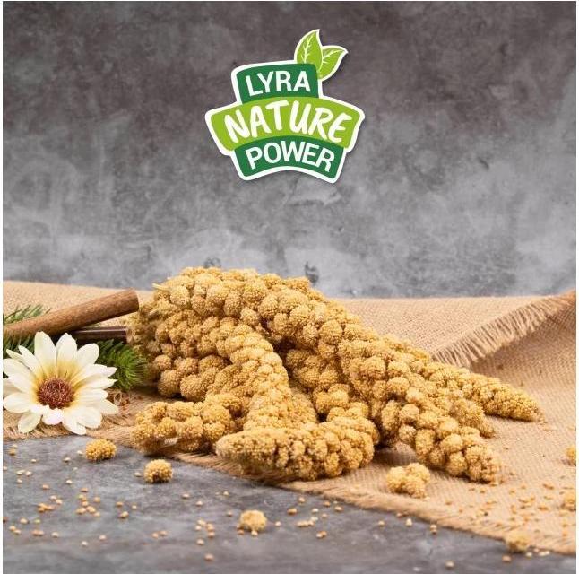 Produktbild Lyra Pet Kolbenhirse (1 x, 1 kg)