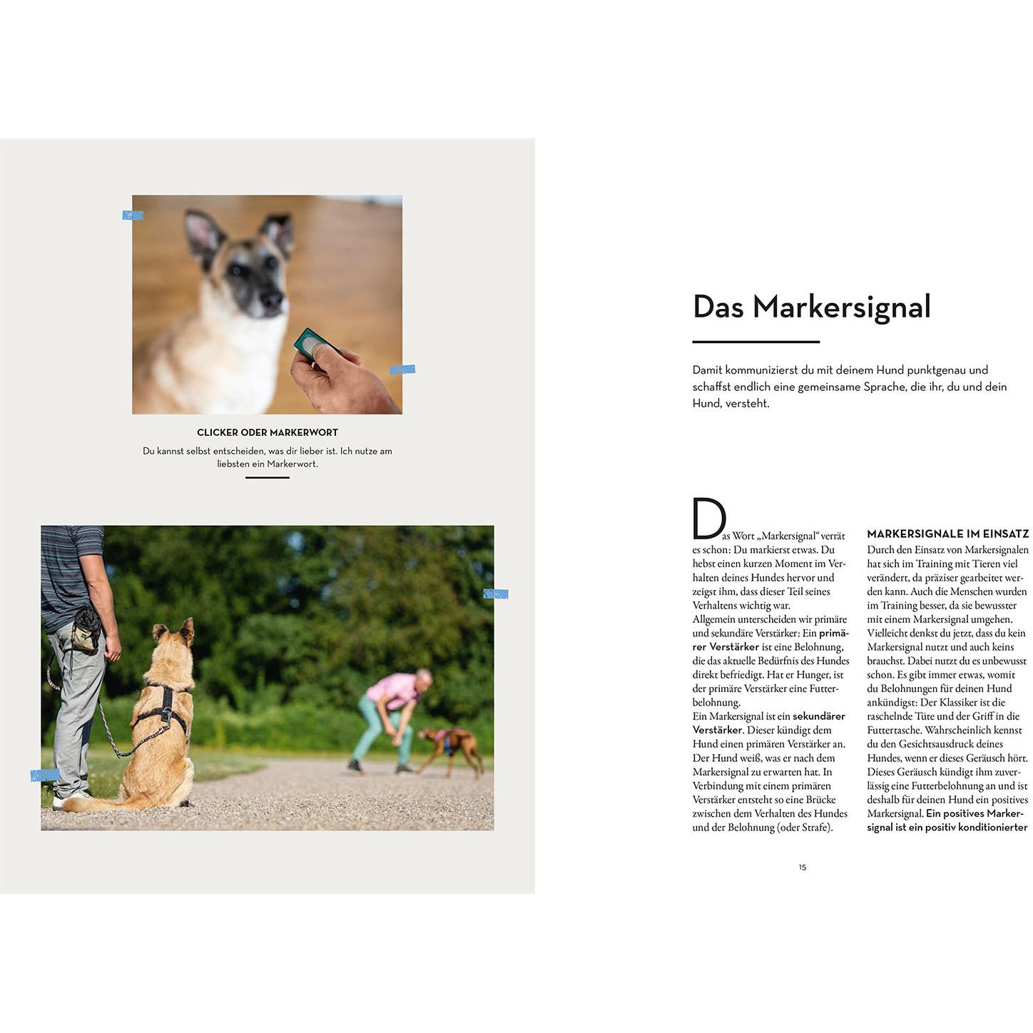 Thumbnail - Marker-Training für Hunde, Ratgeber von Ulrike Seumel