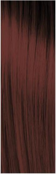 Produktbild pH Argan & Keratin Color (4.62 Braun Violett Rot)