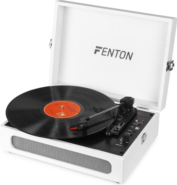 Actual product image Fenton RP118F (Manual)